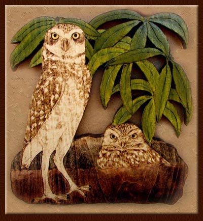 burrowing owl tanja sova pyrography